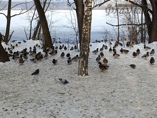 IMG_20260314_092615_787